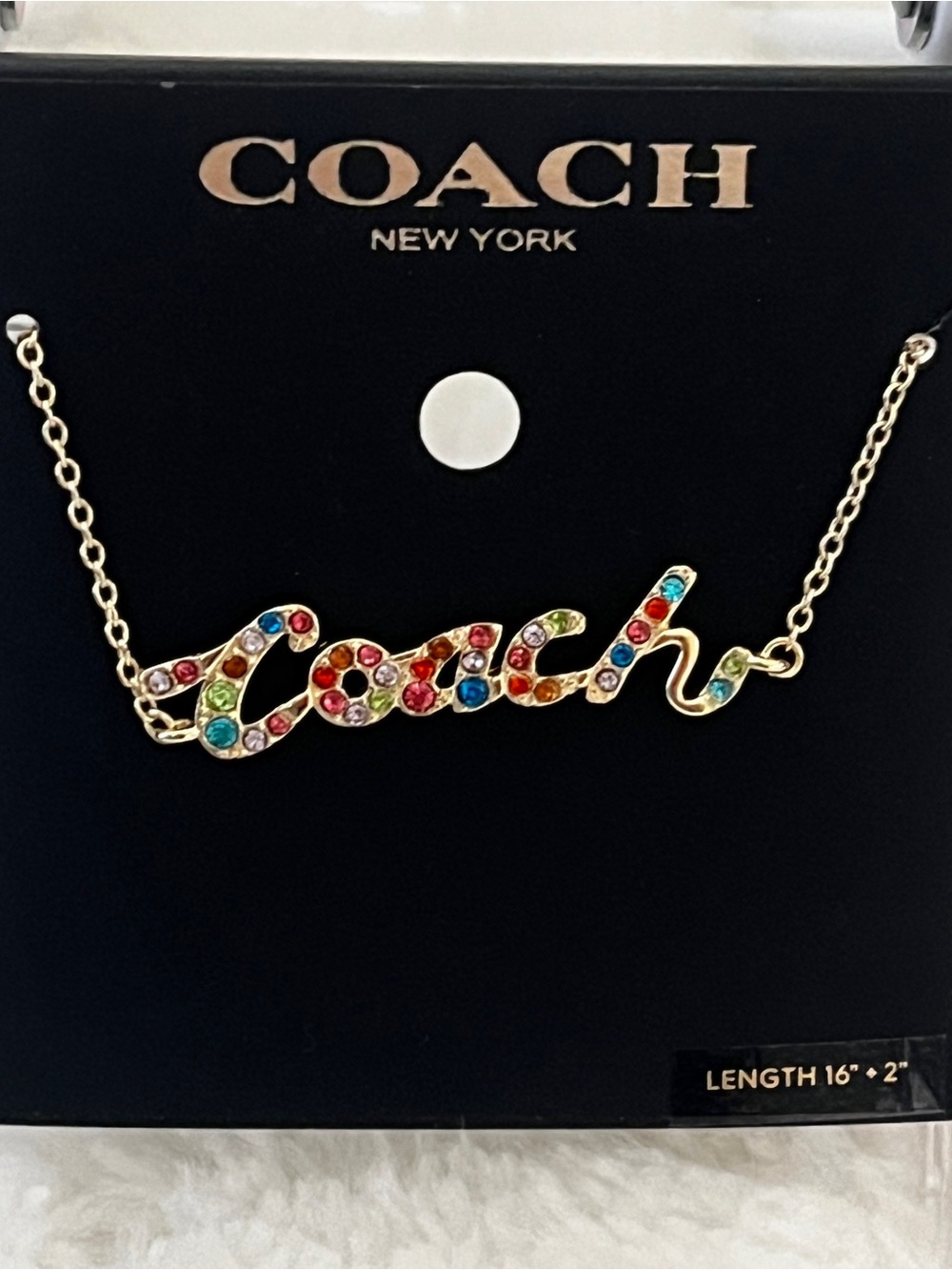 COACH Signature Script Rainbow Necklace